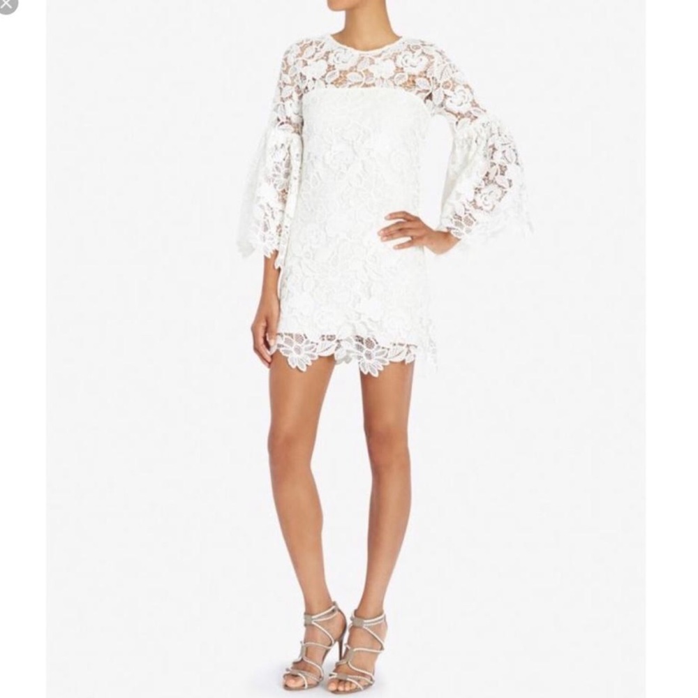 Alexis lace dress